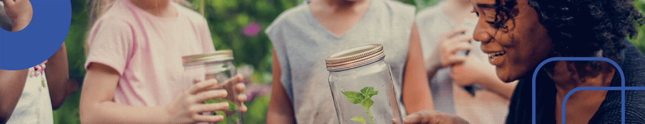 Educação Ambiental