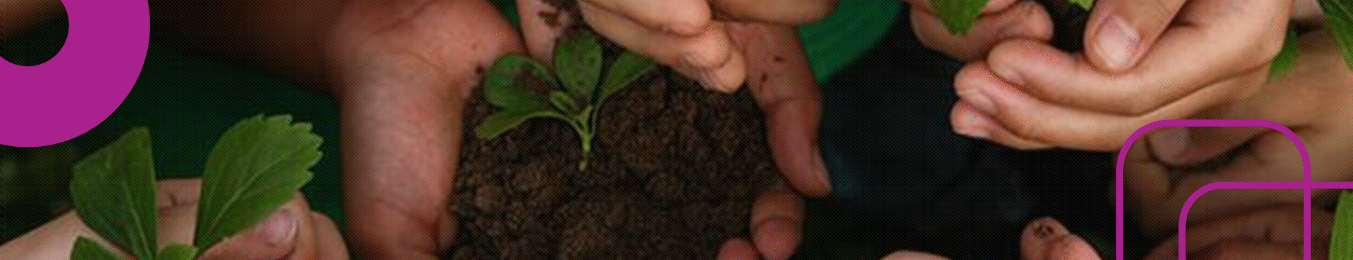 Educação Ambiental e Sustentabilidade