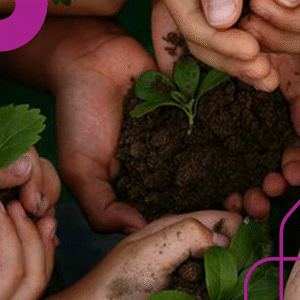Educação Ambiental e Sustentabilidade
