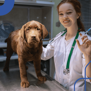 Epidemiologia Animal