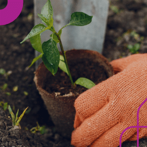 Curso Cursos on-line Capacitação 240 horas Meio Ambiente e Gestão Ambiental