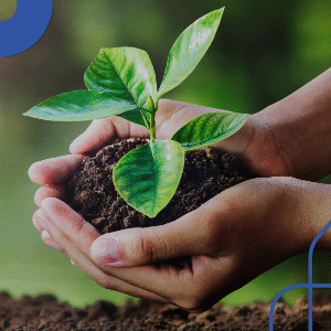 Curso Gestão e Negócios Pós-graduação Meio Ambiente e Sustentabilidade