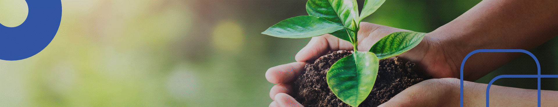 Meio Ambiente e Sustentabilidade